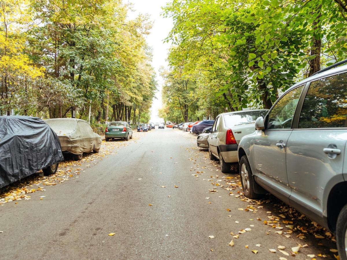 Woody - Cozy And Quiet Place Near Moghioros Park Bucharest Exterior photo